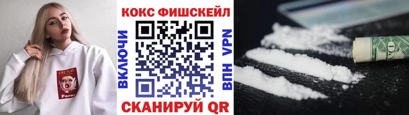 Cocaine Эквадор  продажа наркотиков  гидра онион  Снежногорск 