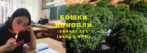 гидра Арсеньев