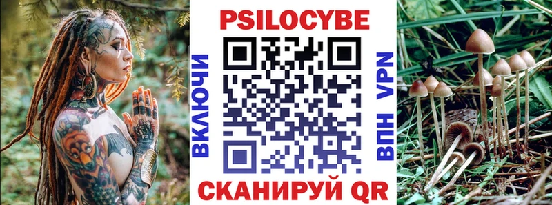 Галлюциногенные грибы Cubensis  Снежногорск 