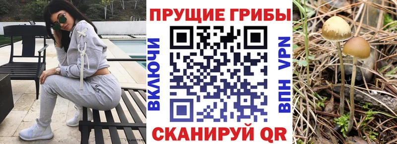 Галлюциногенные грибы прущие грибы Снежногорск